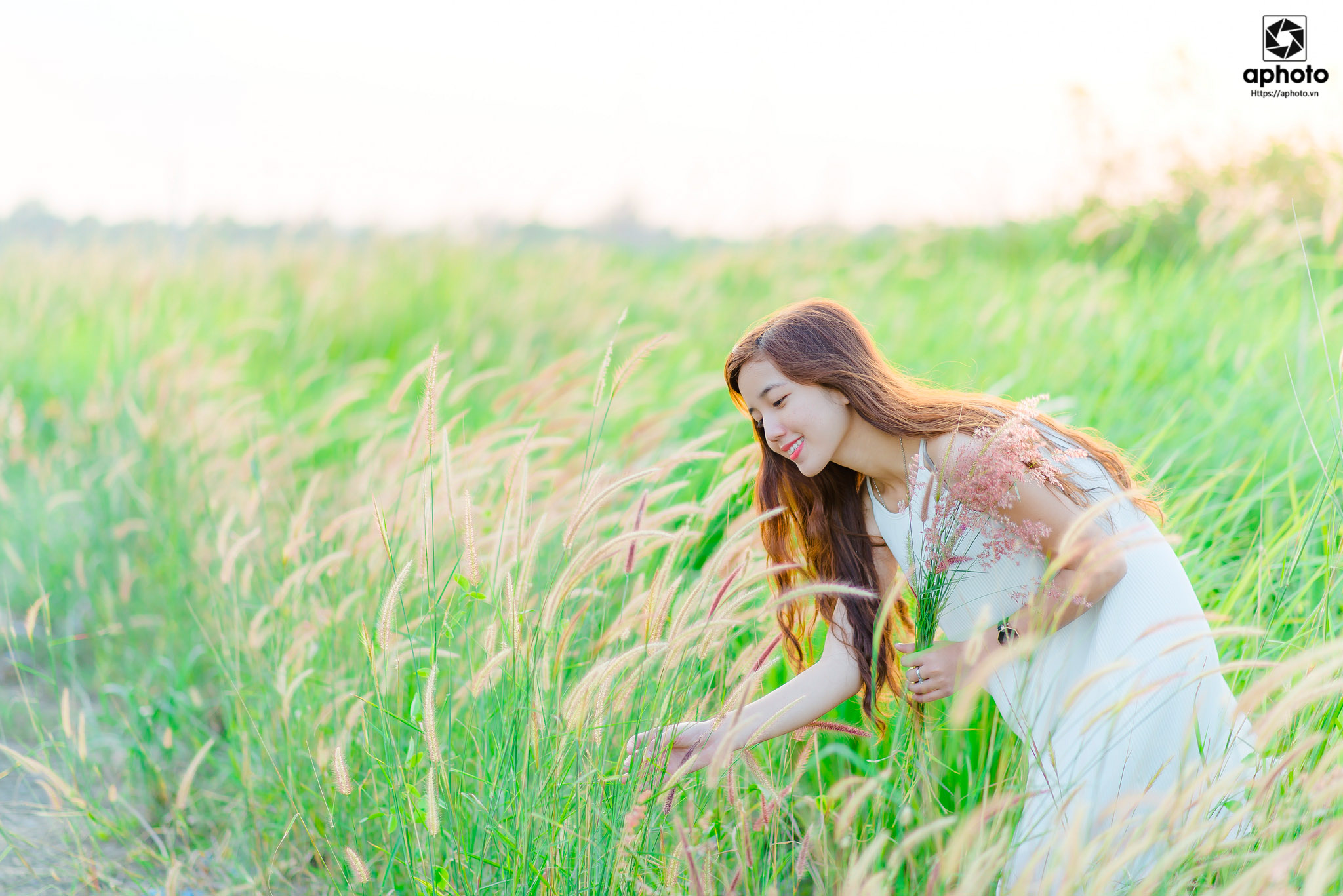 canh-dong-co-lau-quan-2 Cánh đồng cỏ lau quận 2