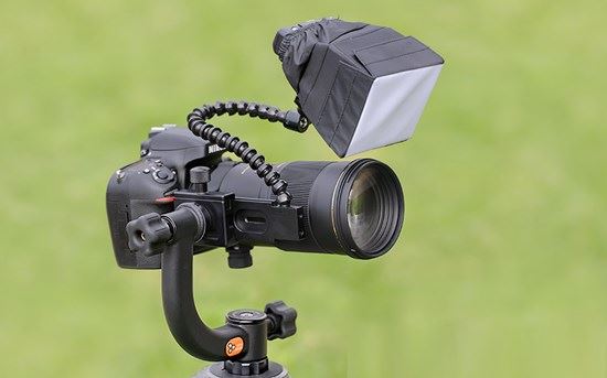 chan-may-chup-hinh Kinh nghiệm chụp ảnh macro