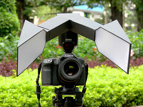 dan-flash-chup-macro Kinh nghiệm chụp ảnh macro