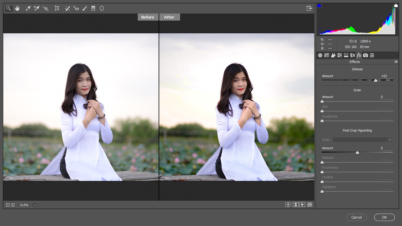 dehaze-e1baa3nh-5 Dehaze làm trong veo ảnh chỉ một click chuột