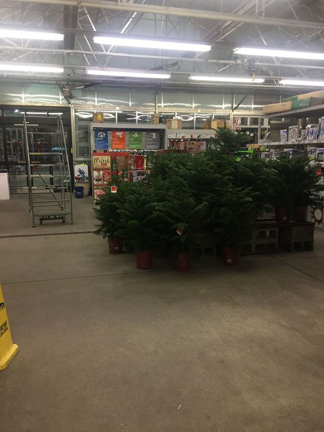 hinh14-3 Địa điểm tiếp tục đó là một khóm cây