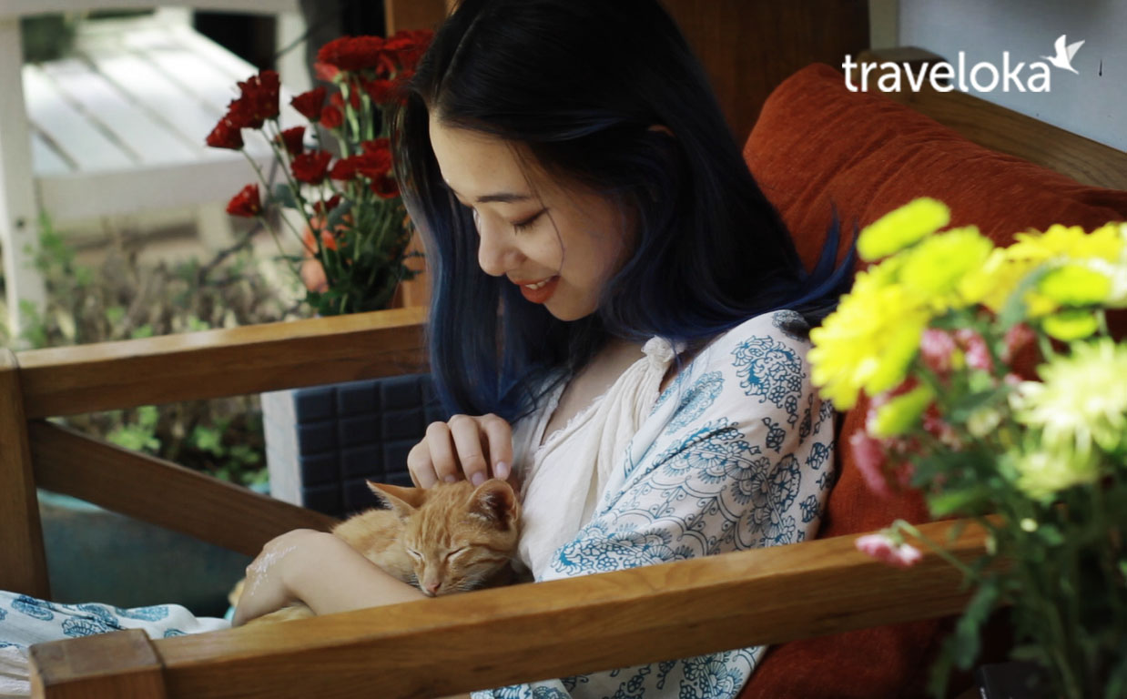 len-hinh-xinh-lung-linh-voi-6-diem-dep-rang-ngoi-da-lat-11 Lên hình xinh rung rinh với 6 điểm đẹp rạng ngời ở Đà Lạt