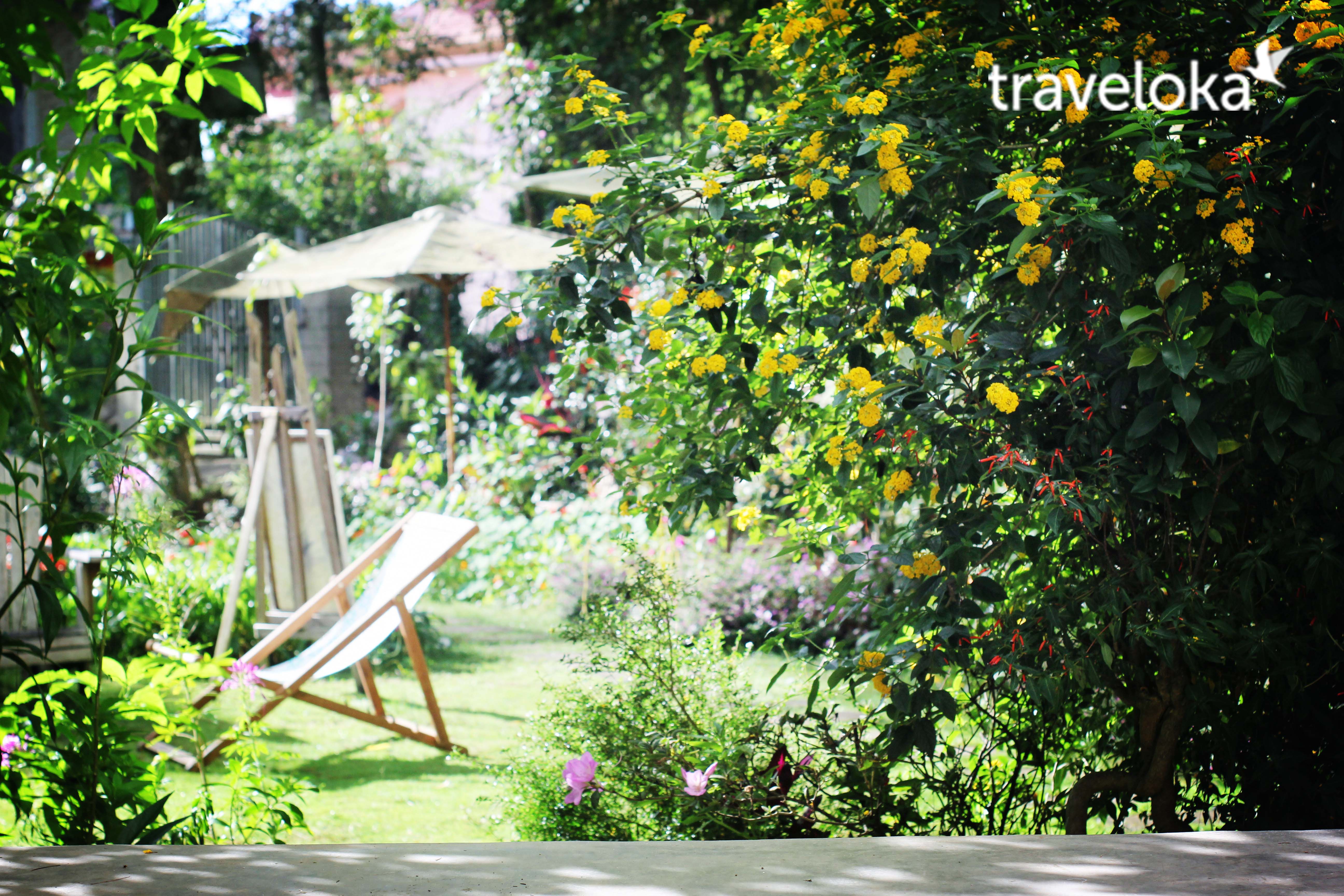 len-hinh-xinh-lung-linh-voi-6-diem-dep-rang-ngoi-da-lat-12 Lên hình xinh rung rinh với 6 điểm đẹp rạng ngời ở Đà Lạt