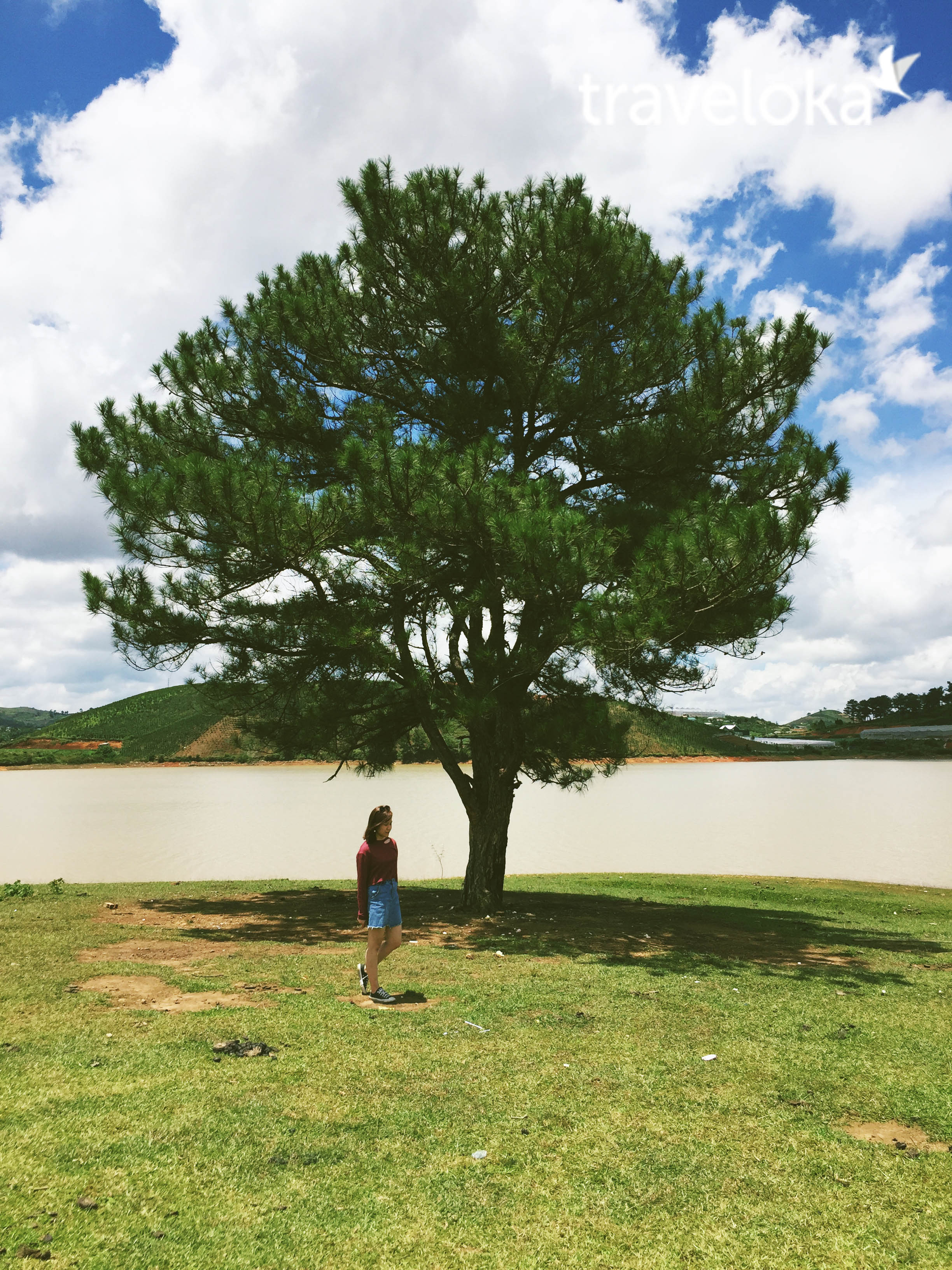 len-hinh-xinh-lung-linh-voi-6-diem-dep-rang-ngoi-da-lat-5-1 Lên hình xinh rung rinh với 6 điểm đẹp rạng ngời ở Đà Lạt