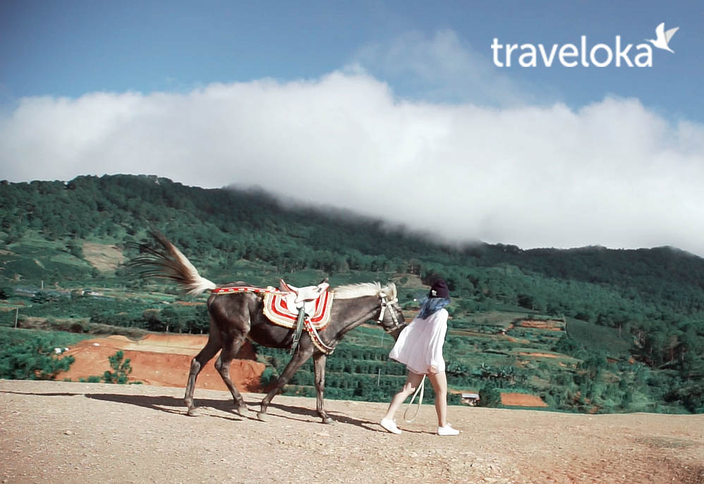 len-hinh-xinh-lung-linh-voi-6-diem-dep-rang-ngoi-da-lat-7 Lên hình xinh rung rinh với 6 điểm đẹp rạng ngời ở Đà Lạt