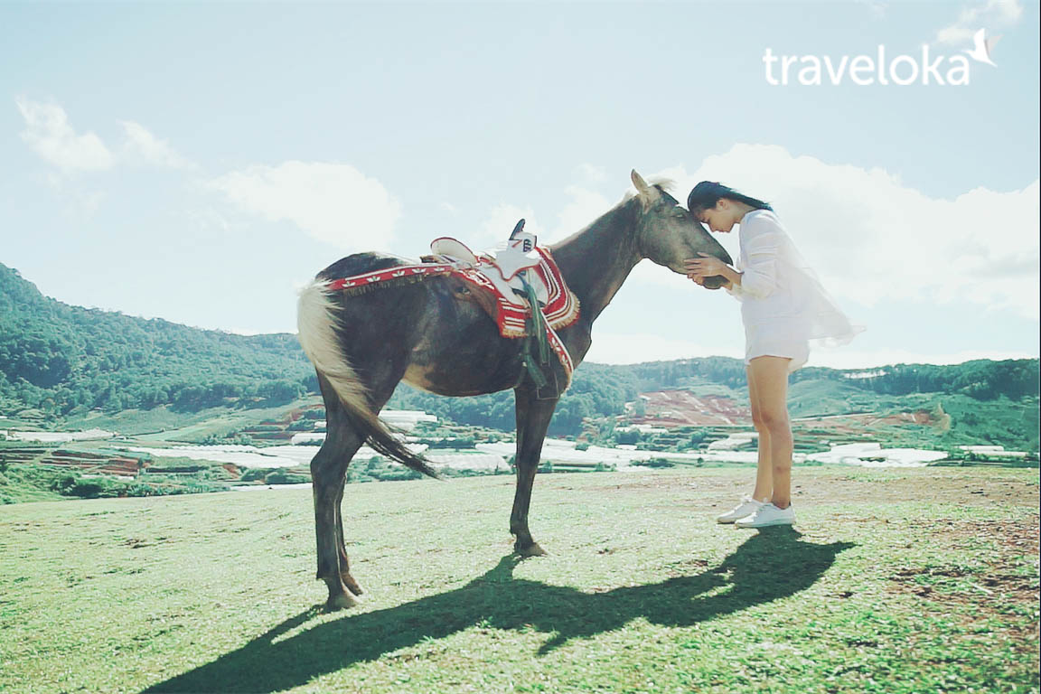 Lên hình xinh rung rinh với 6 điểm đẹp rạng ngời ở Đà Lạt