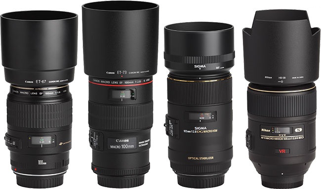 lens-macro-1 Kinh nghiệm chụp ảnh macro