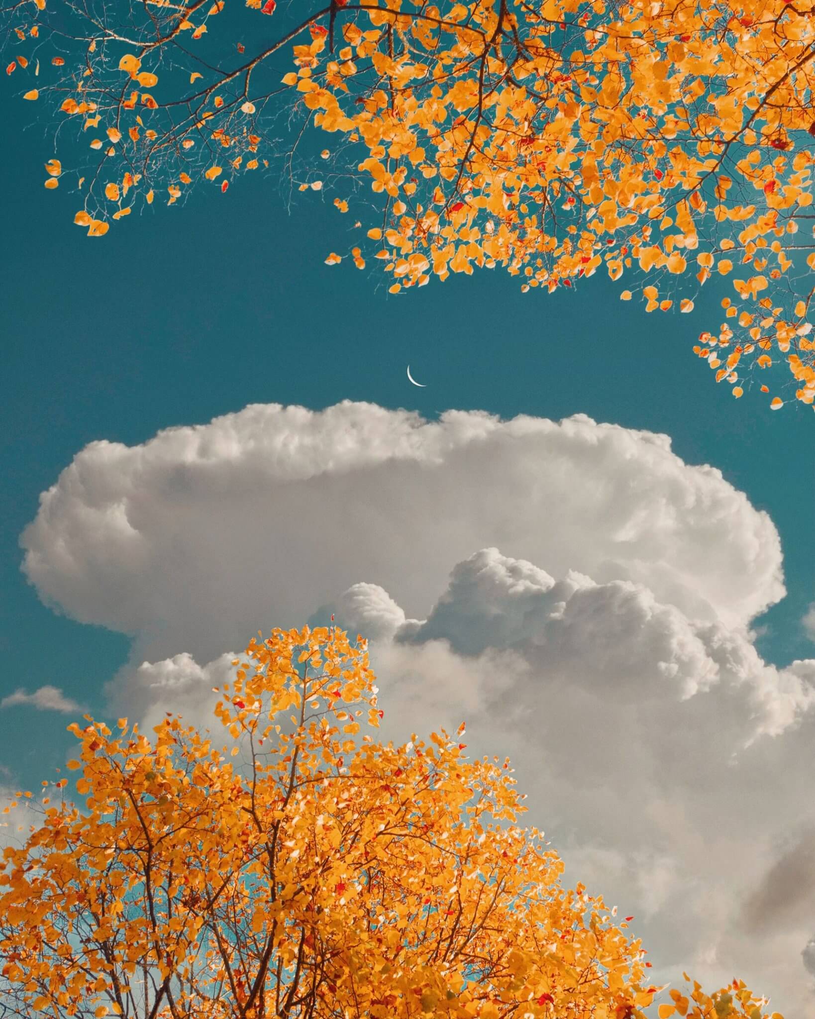 291413283_528396915651572_5463768492863723967_n