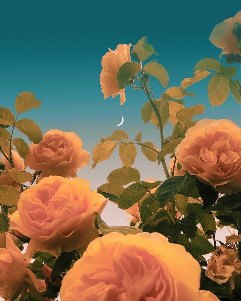 291429130_528396642318266_1551729301140102829_n