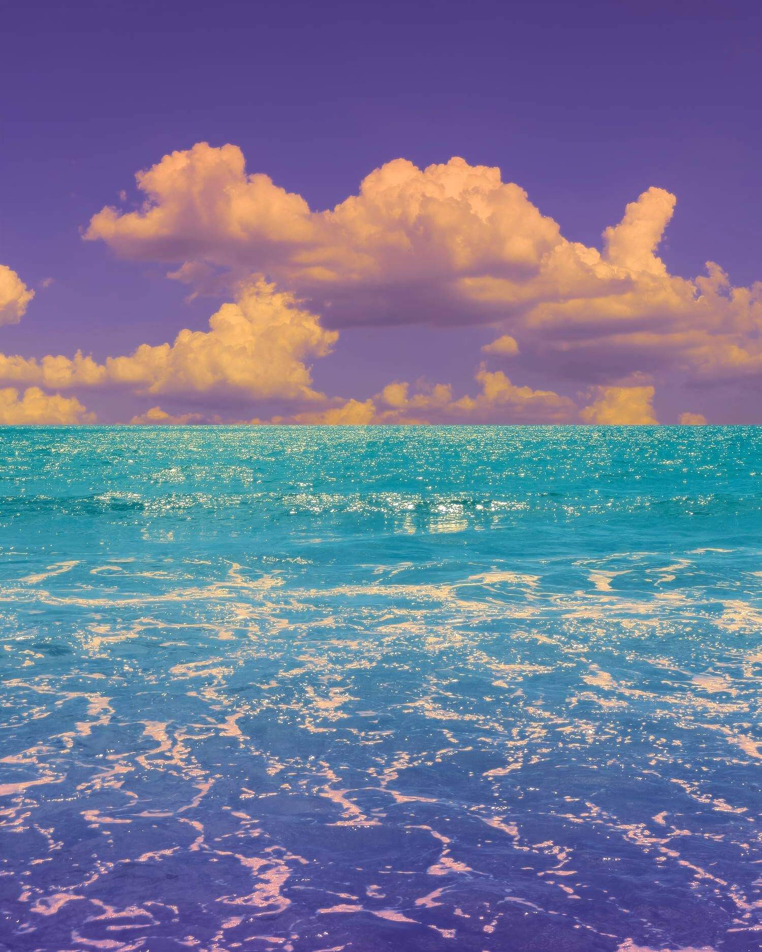 297735079_552755326549064_1246700263985364192_n