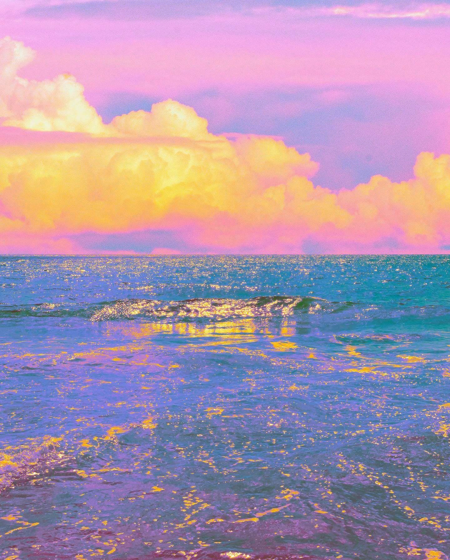 347248839_736282225169095_6036301689792974505_n