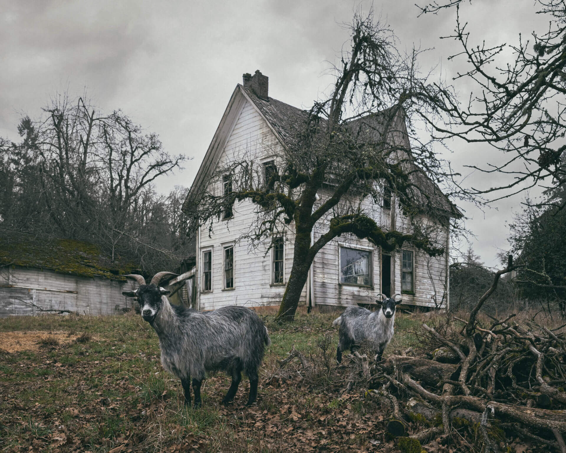 idesign_brendon-burton_10