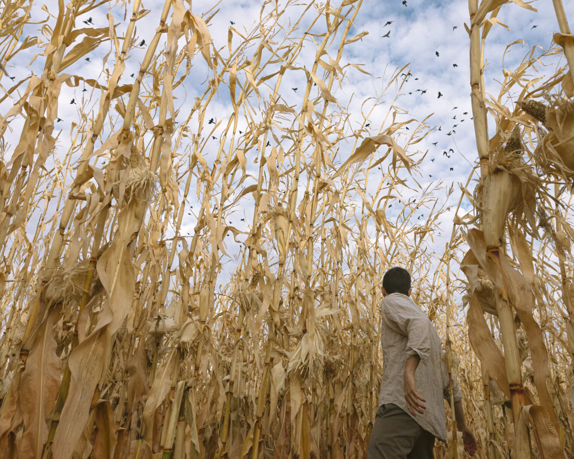 idesign_brendon-burton_3