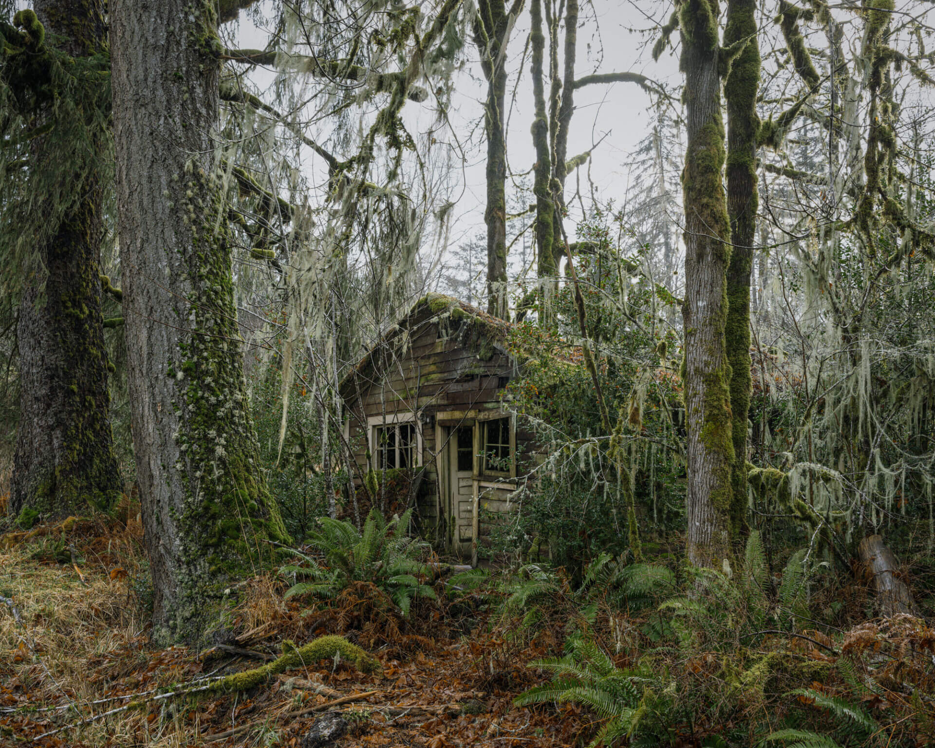 idesign_brendon-burton_6