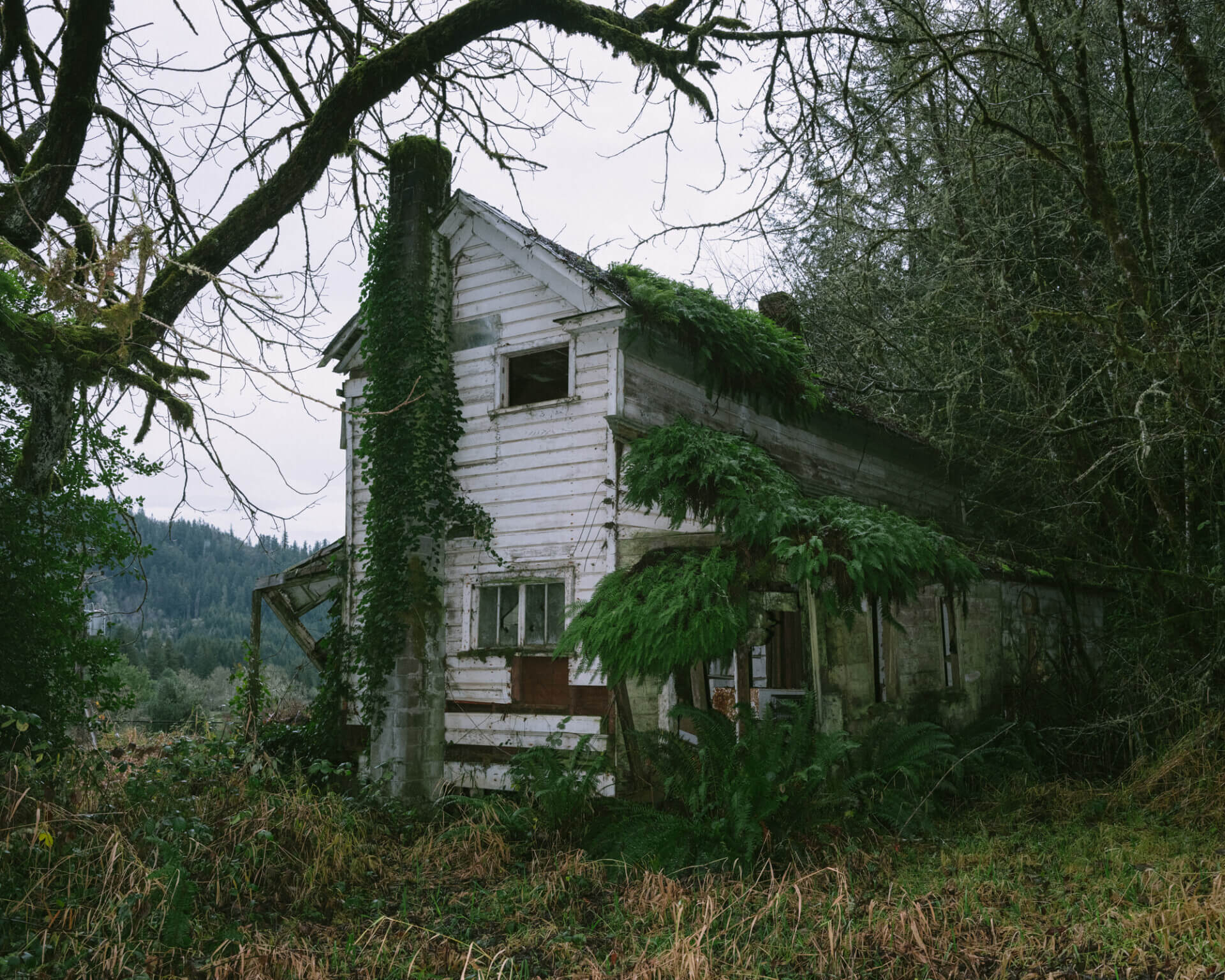 idesign_brendon-burton_8