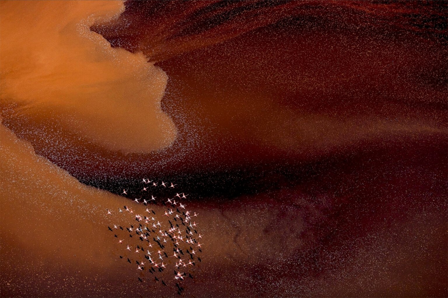 siena-drone-photo-awards-2024-6 Siena Drone Photo Awards 2024