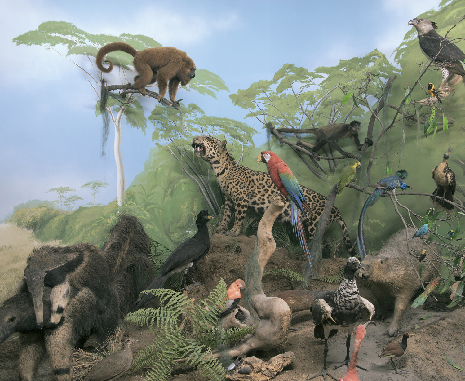 the-anthropocene-illusion-by-zed-nelson-11-1 Sony World Photography Awards 2025
