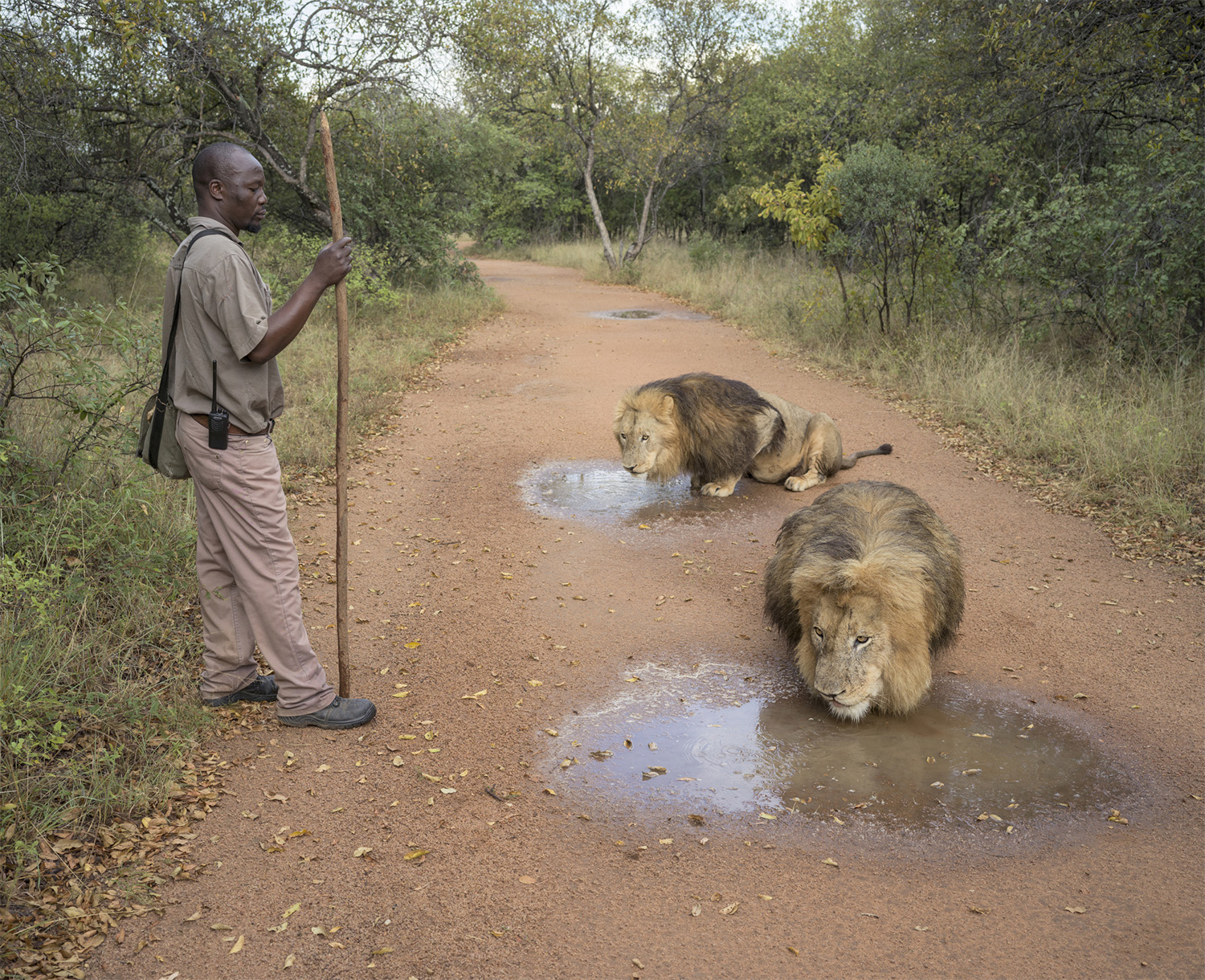 the-anthropocene-illusion-by-zed-nelson-22-1 Sony World Photography Awards 2025