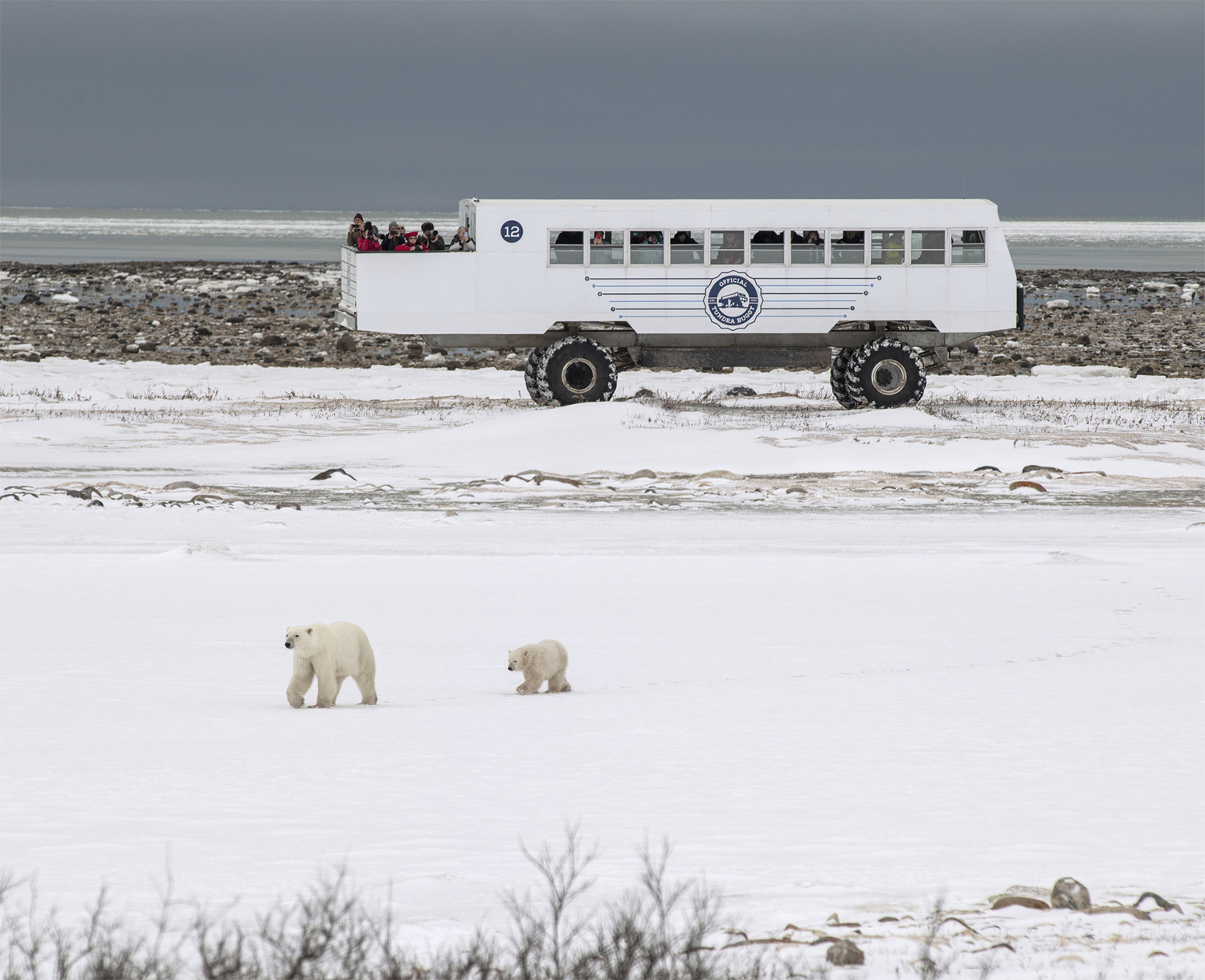the-anthropocene-illusion-by-zed-nelson-33-1 Sony World Photography Awards 2025