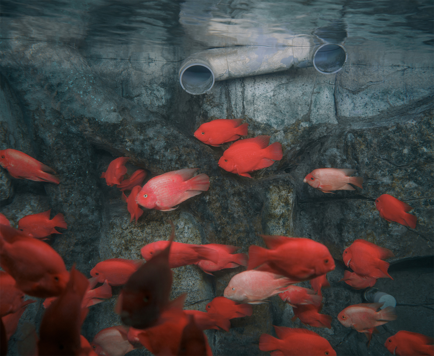 the-anthropocene-illusion-by-zed-nelson-55-1 Sony World Photography Awards 2025