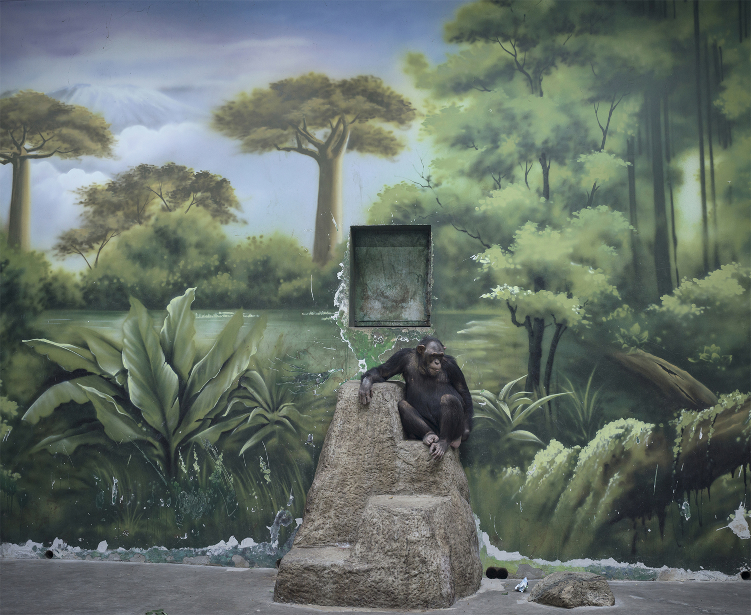 the-anthropocene-illusion-by-zed-nelson-88-1 Sony World Photography Awards 2025