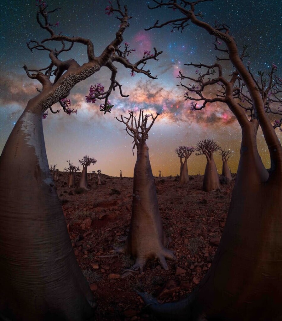 Milky Way Photographer of the Year
