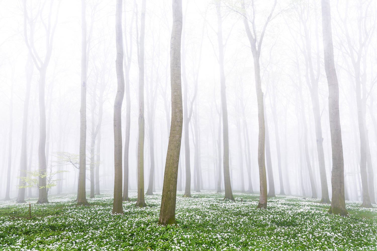 gdt-nature-photographer-of-the-year-2025-12 gdt nature photographer of the year 2025