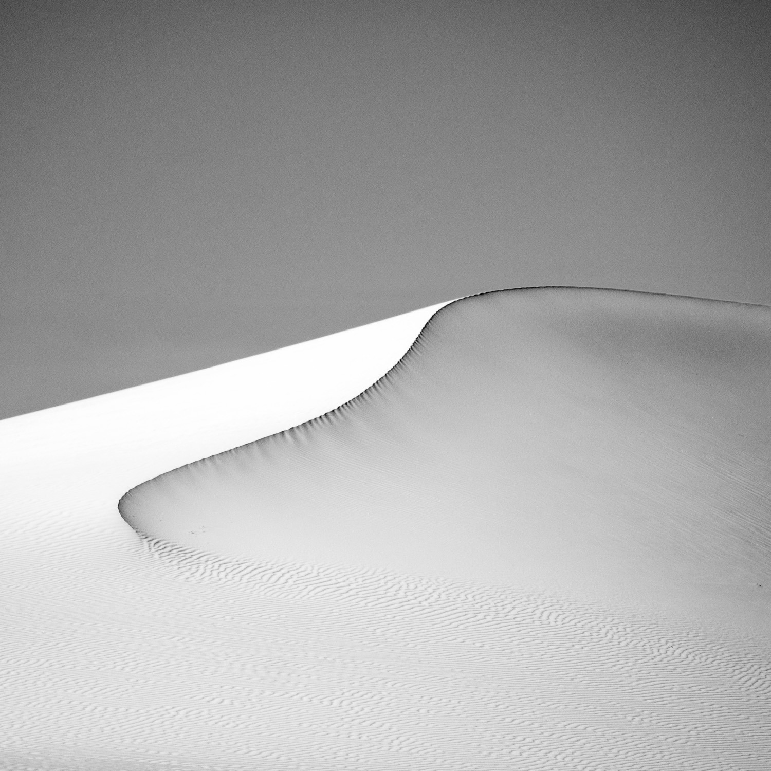 gdt-nature-photographer-of-the-year-2025-15 gdt nature photographer of the year 2025