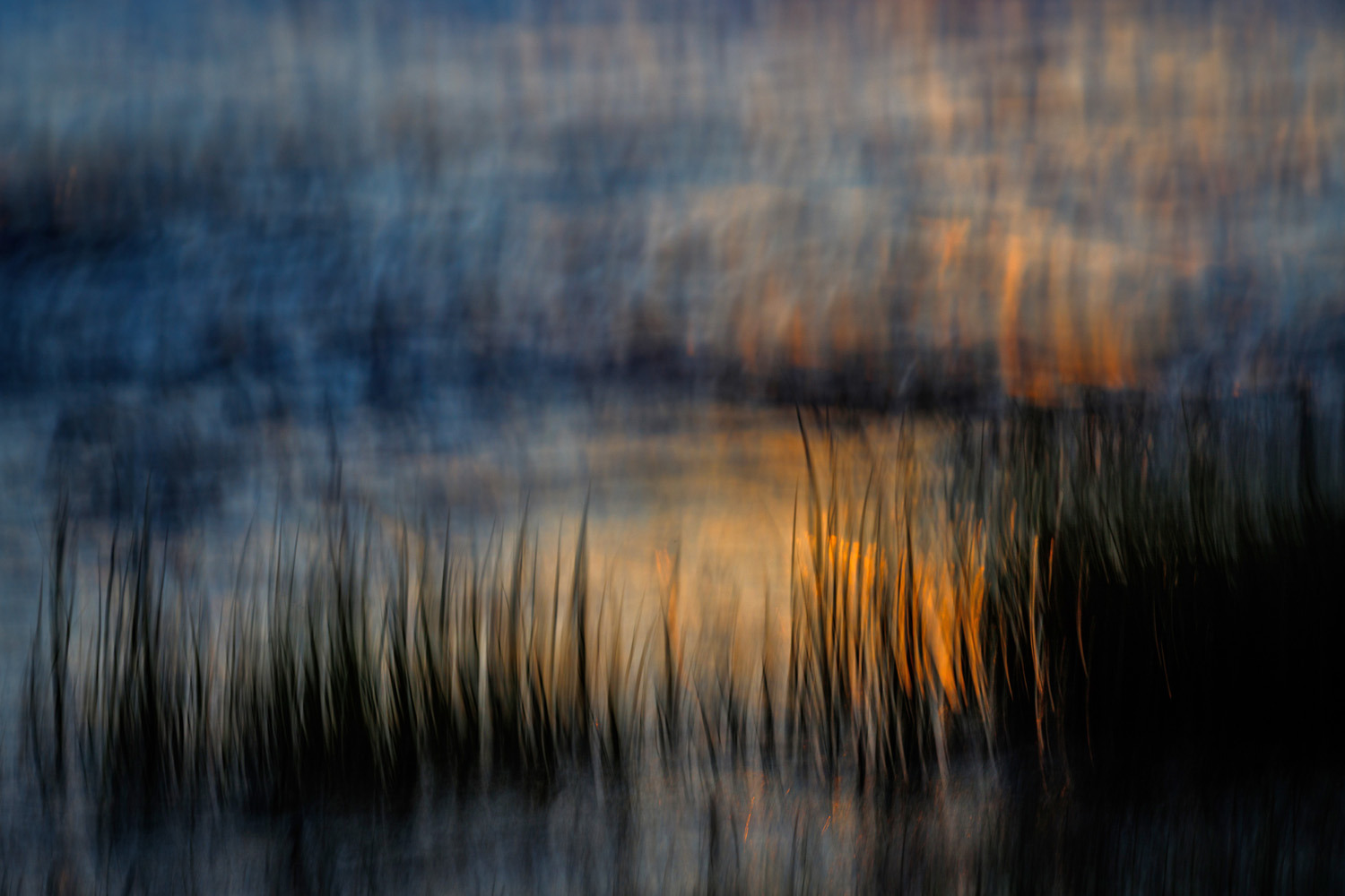 gdt-nature-photographer-of-the-year-2025-16 gdt nature photographer of the year 2025