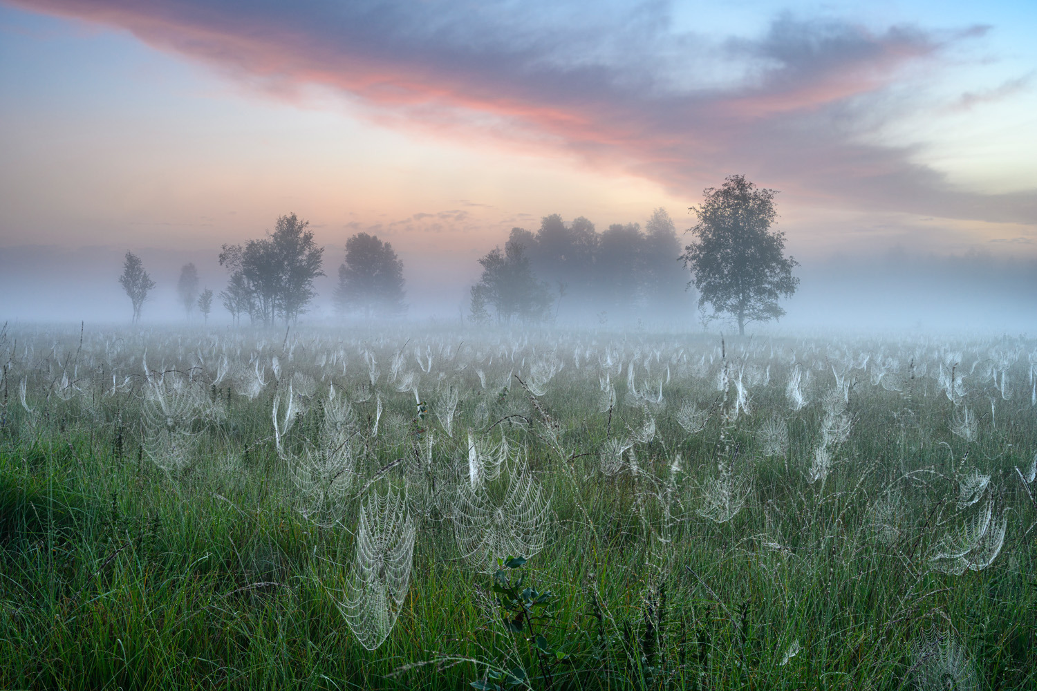 gdt-nature-photographer-of-the-year-2025-19 gdt nature photographer of the year 2025