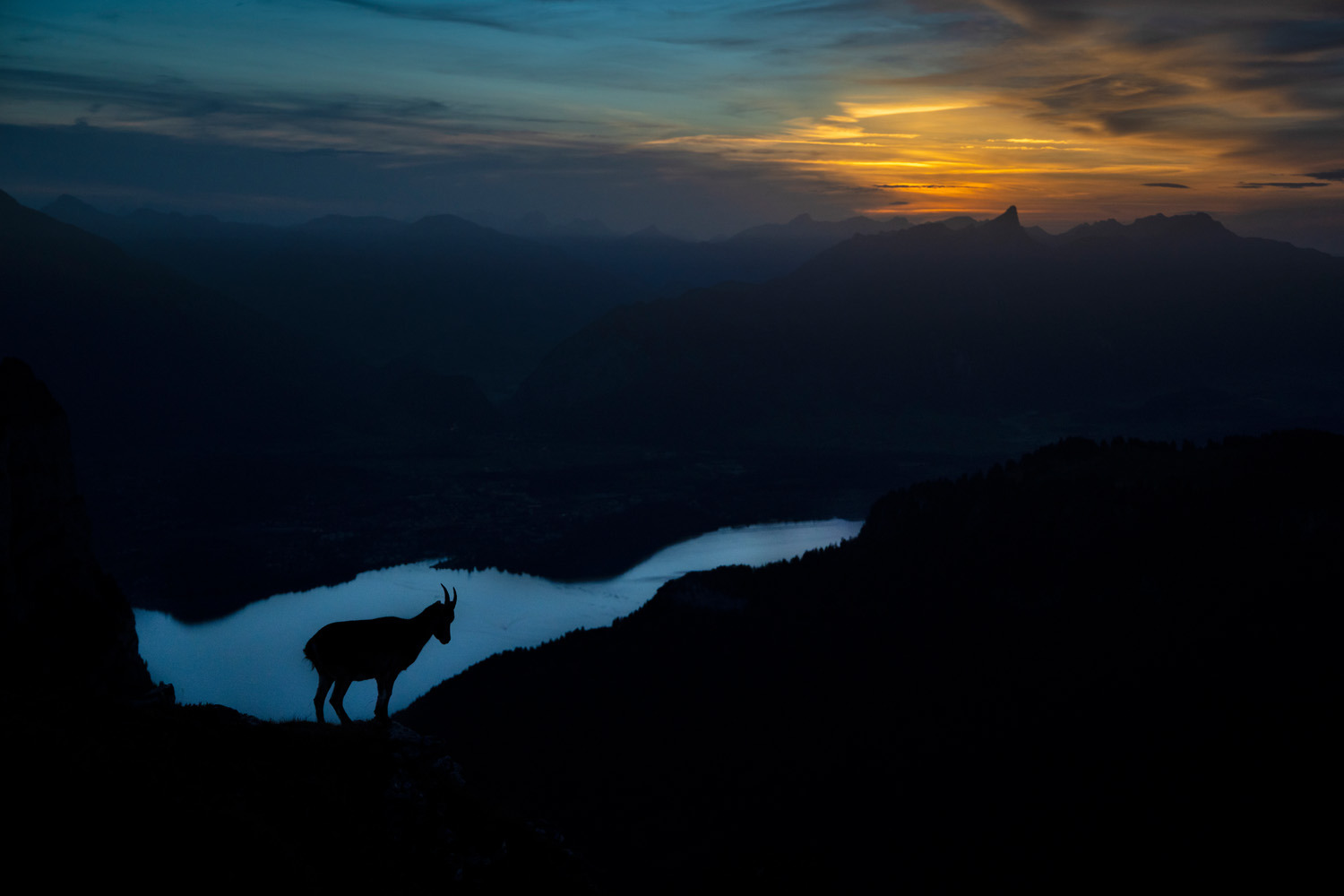 gdt-nature-photographer-of-the-year-2025-5 gdt nature photographer of the year 2025